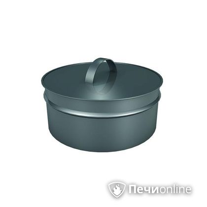 Заглушки Теплов и Сухов Заглушка ревизии Термо-Р 304 0.5 D220(120) в Нефтеюганске