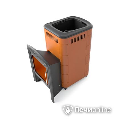 Дровяная печь-каменка TMF Тунгуска Cast Витра терракота в Нефтеюганске